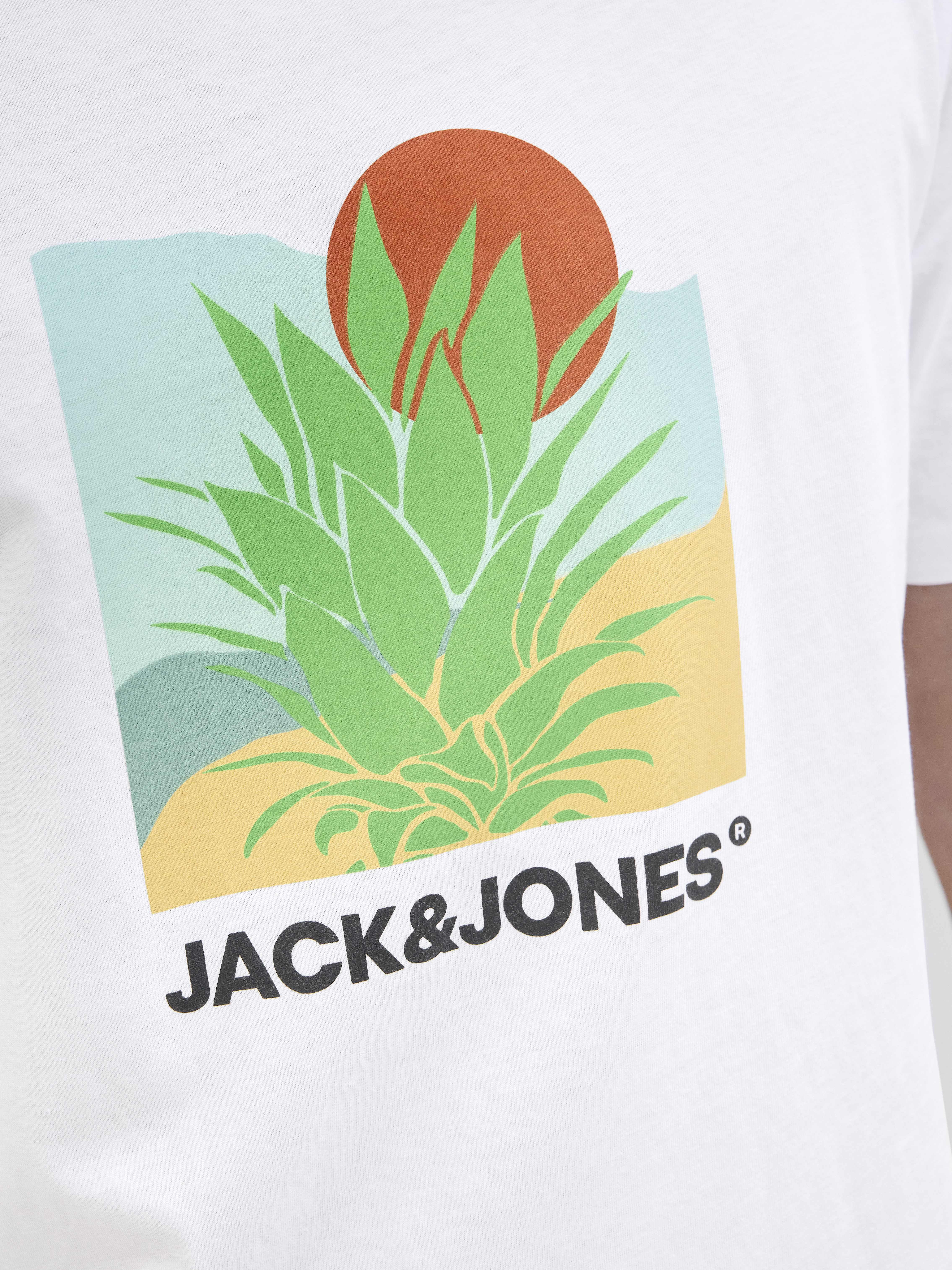 Jack&Jones T-shirt BARBADOS