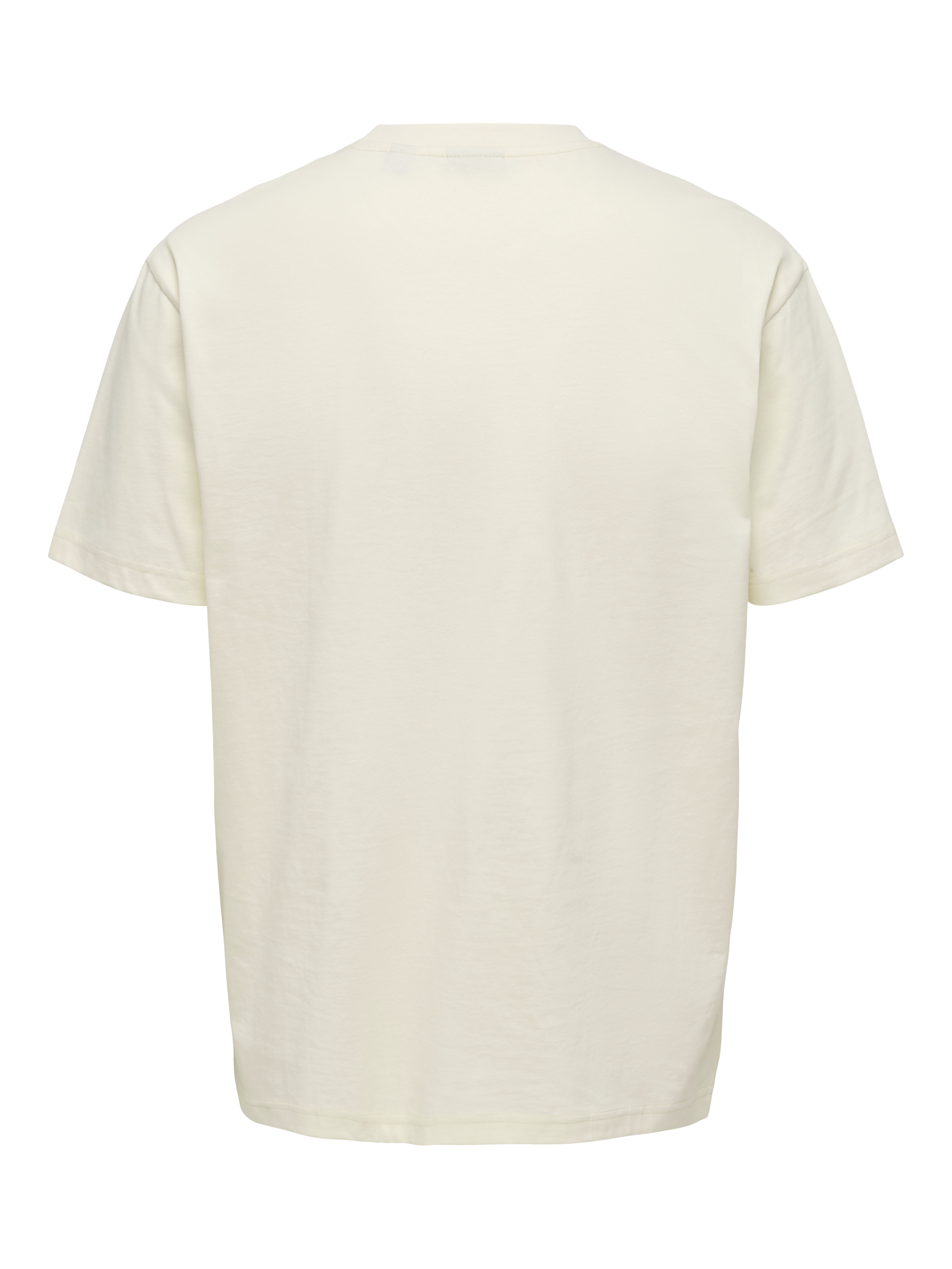 Only & Sons T-shirt FRED 