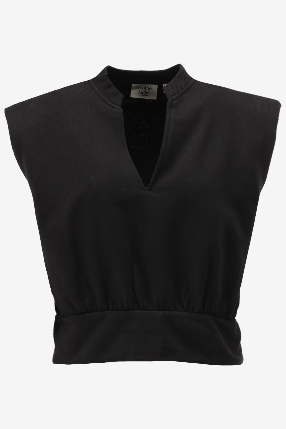 Another-Label Top INDRA