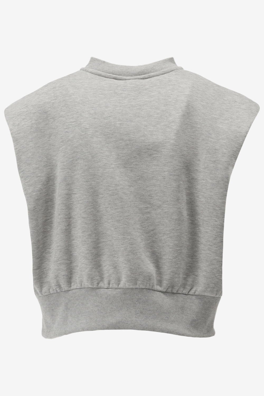 Another-Label Top INDRA