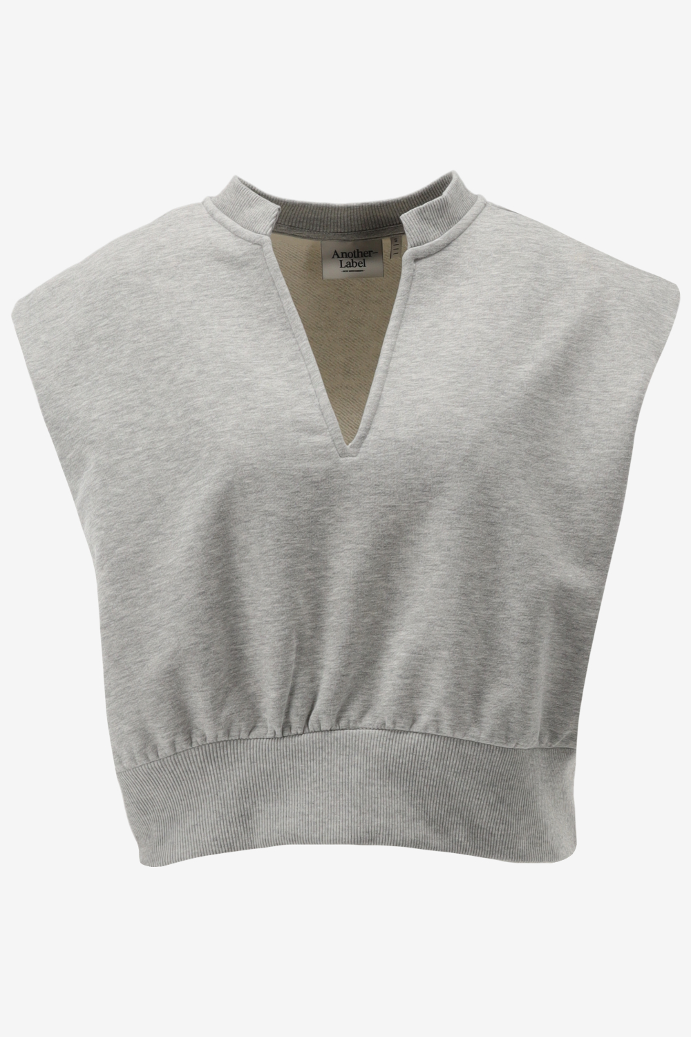 Another-Label Top INDRA