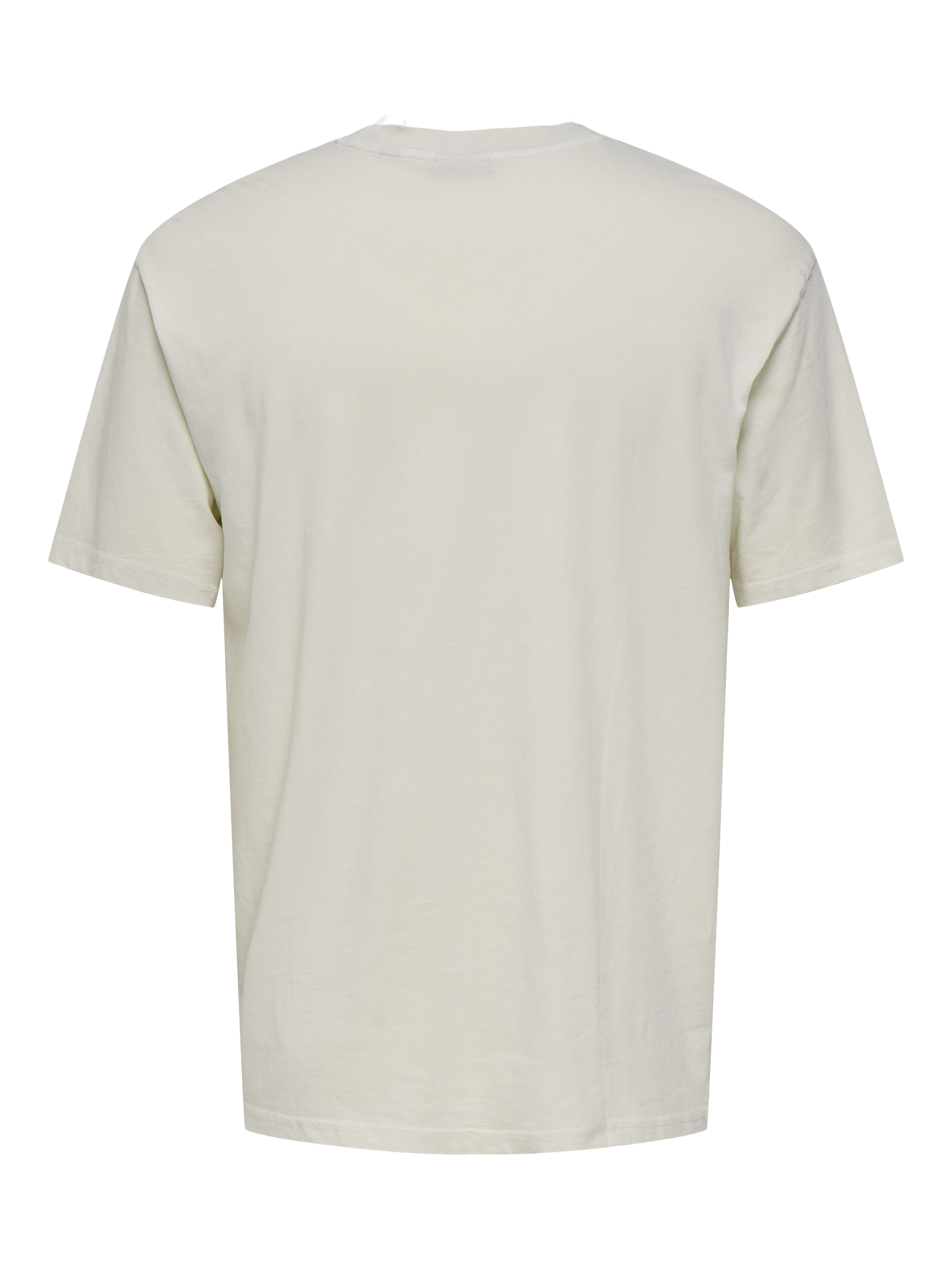 Only & Sons T-shirt PASSA