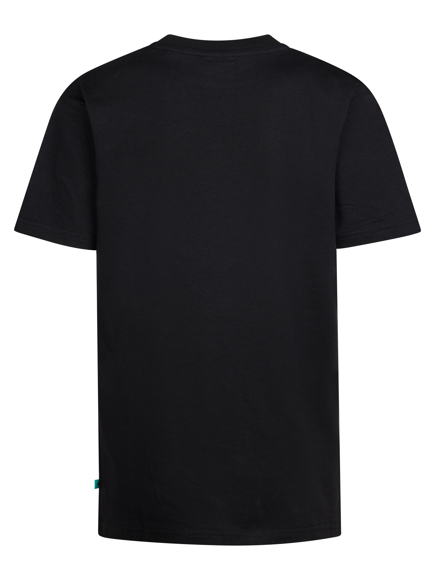 Petrol T-shirt 