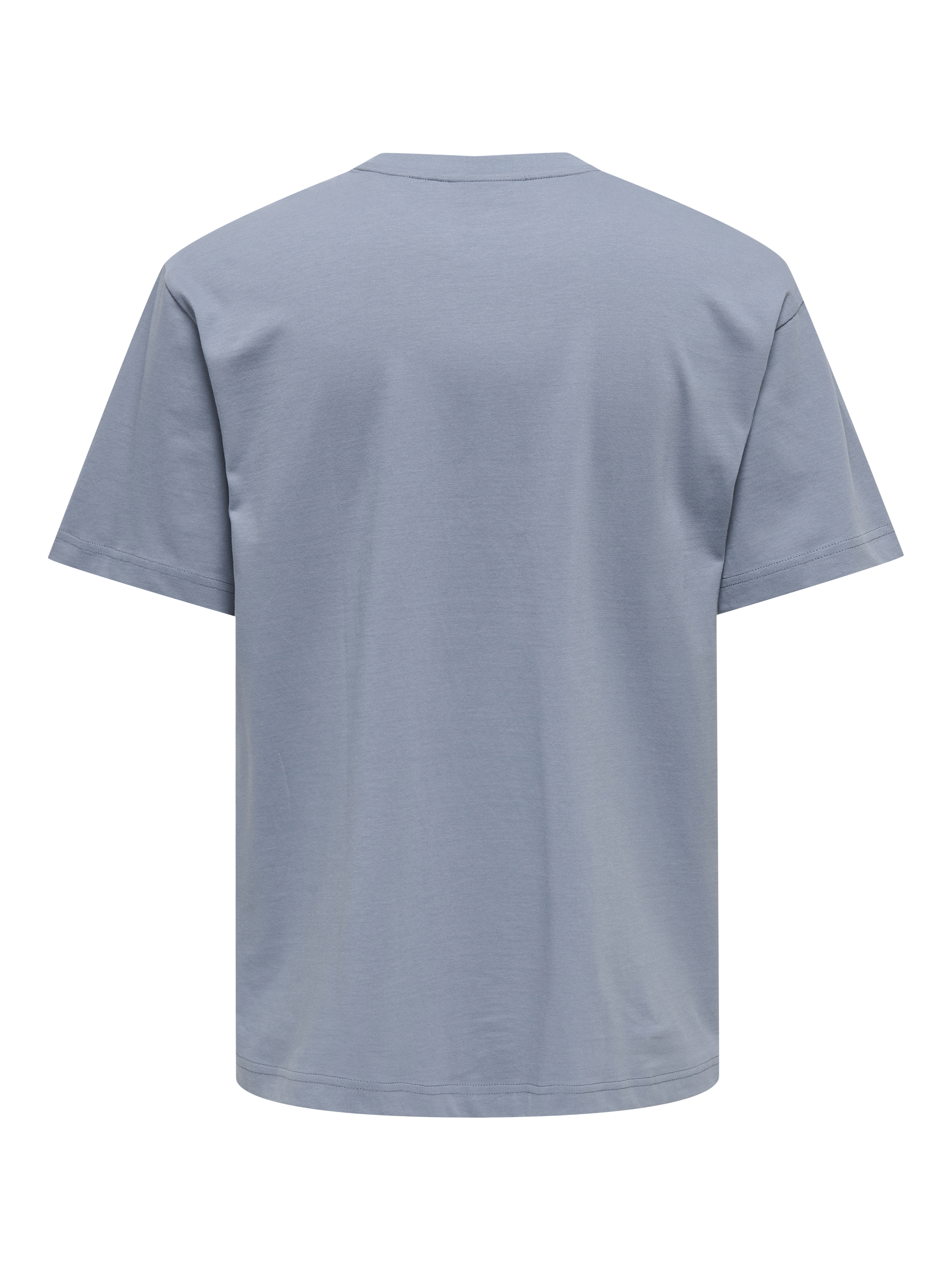 Only & Sons T-shirt FRED LIFE 