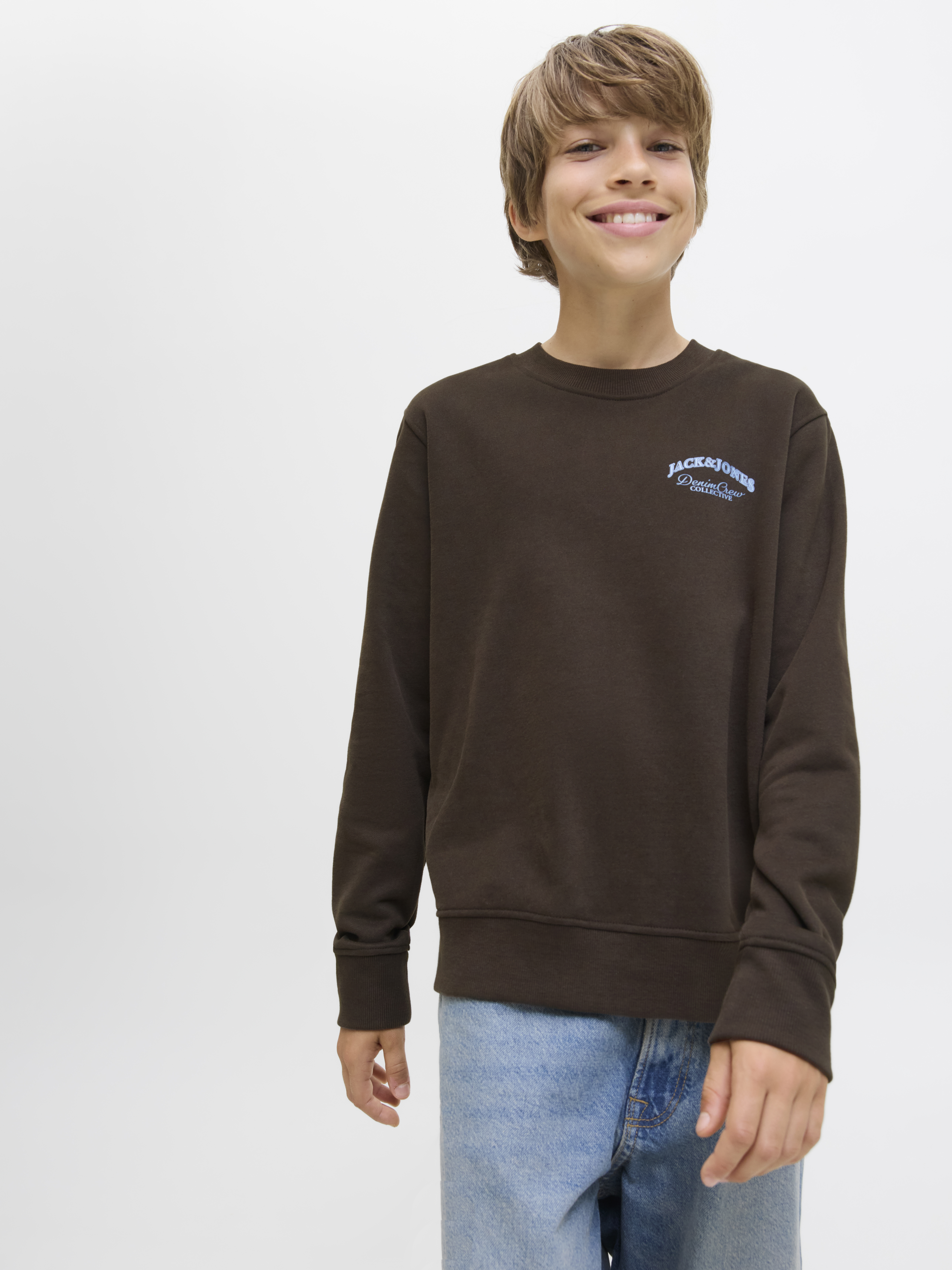 Jack&Jones Sweater BRANDES 