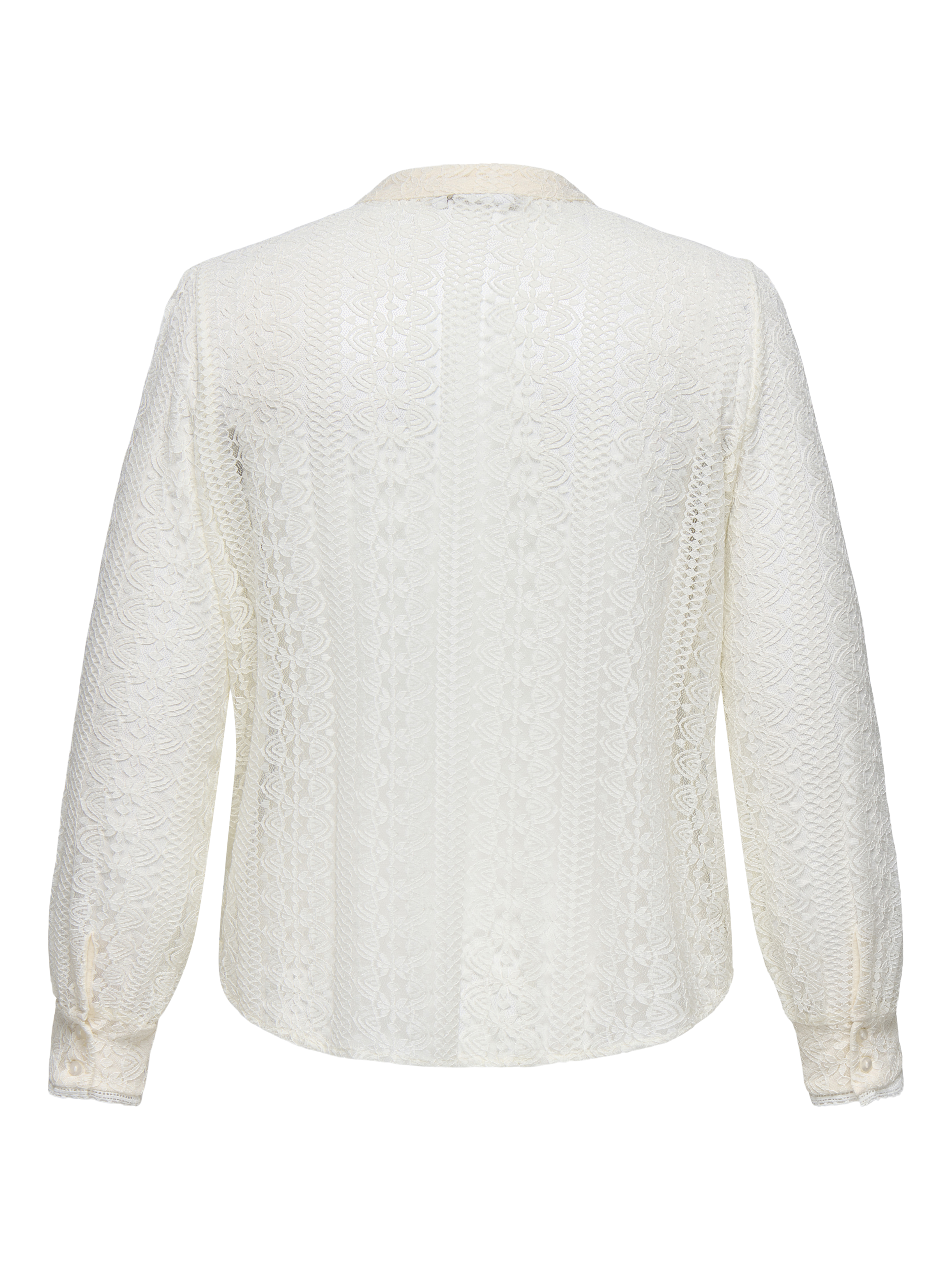 Only Carmakoma Blouse REBA LACE 