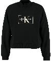 Calvin Klein Sweater OUTLINE