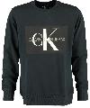 Calvin Klein Sweater CORE