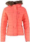 Superdry Jas FUJI