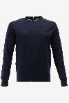 Tommy Hilfiger Sweater 1985 TRUI VAN BIOLOGISCH KATOE