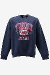 Tommy Hilfiger Sweater TJM COLLEGE AW CREW