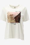 Only T-shirt FREE