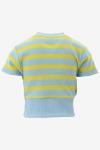 Indian Blue T-shirt Cropped T-Shirt Stripe