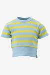 Indian Blue T-shirt Cropped T-Shirt Stripe