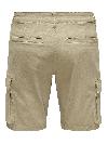 Only & Sons Short CAM STAGE