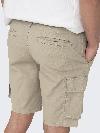 Only & Sons Short CAM STAGE