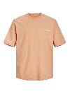 Jack&Jones T-shirt SEQUOIA