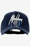 Malelions Pet Malelions Men Painter