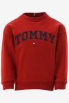Tommy Hilfiger Sweater 