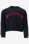 Tommy Hilfiger Sweater 