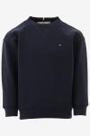 Tommy Hilfiger Sweater 