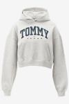 Tommy Hilfiger Hoodie 