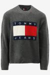Tommy Hilfiger Trui 