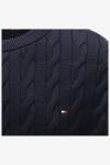 Tommy Hilfiger Trui 