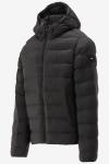 Tommy Hilfiger Jas 