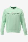 Tommy Hilfiger Sweater TOMMY LOGO SWEATSH