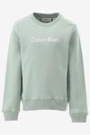Calvin Klein Sweater INST. LOGO REGULAR C