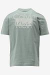 Calvin Klein T-shirt ENLARGED BACK LOGO T, PFF
