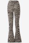 Catwalk Junkie Bootcut  