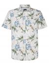Petrol Casual Shirt 