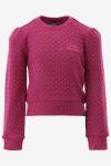Indian Blue Sweater 