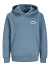 Jack&Jones Hoodie BRANDES