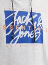 Jack&Jones Hoodie COLTON