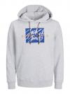 Jack&Jones Hoodie COLTON