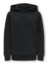Only & Sons Hoodie CERES