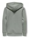 Only & Sons Hoodie CERES