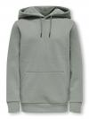 Only & Sons Hoodie CERES