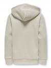 Only & Sons Hoodie CERES