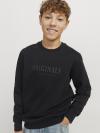 Jack&Jones Hoodie FREDERIKSBERG