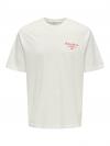 Only & Sons T-shirt RYLAN RLX
