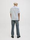 Jack&Jones Casual Shirt EENZO STRIPE