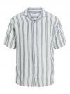 Jack&Jones Casual Shirt EENZO STRIPE