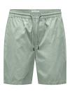Only & Sons Short TEL LIFE