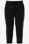 New Star Capri DERBY