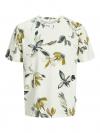 Jack&Jones T-shirt VARENNA