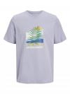 Jack&Jones T-shirt BARBADOS